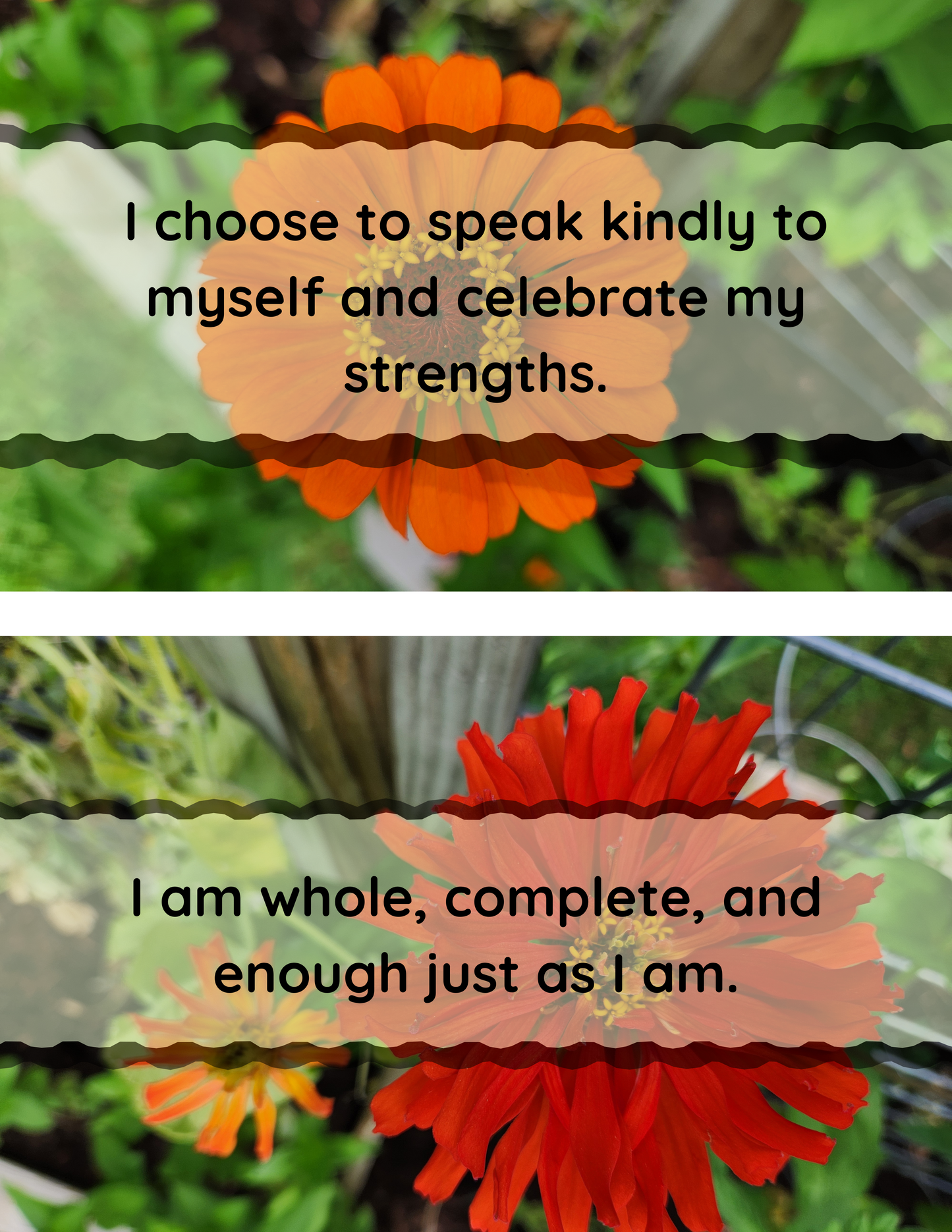 Zinnia Affirmation Flip-Book - Original Photography