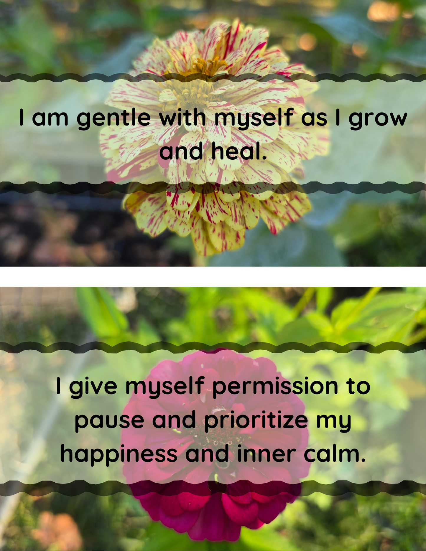 Zinnia Affirmation Flip-Book - Original Photography