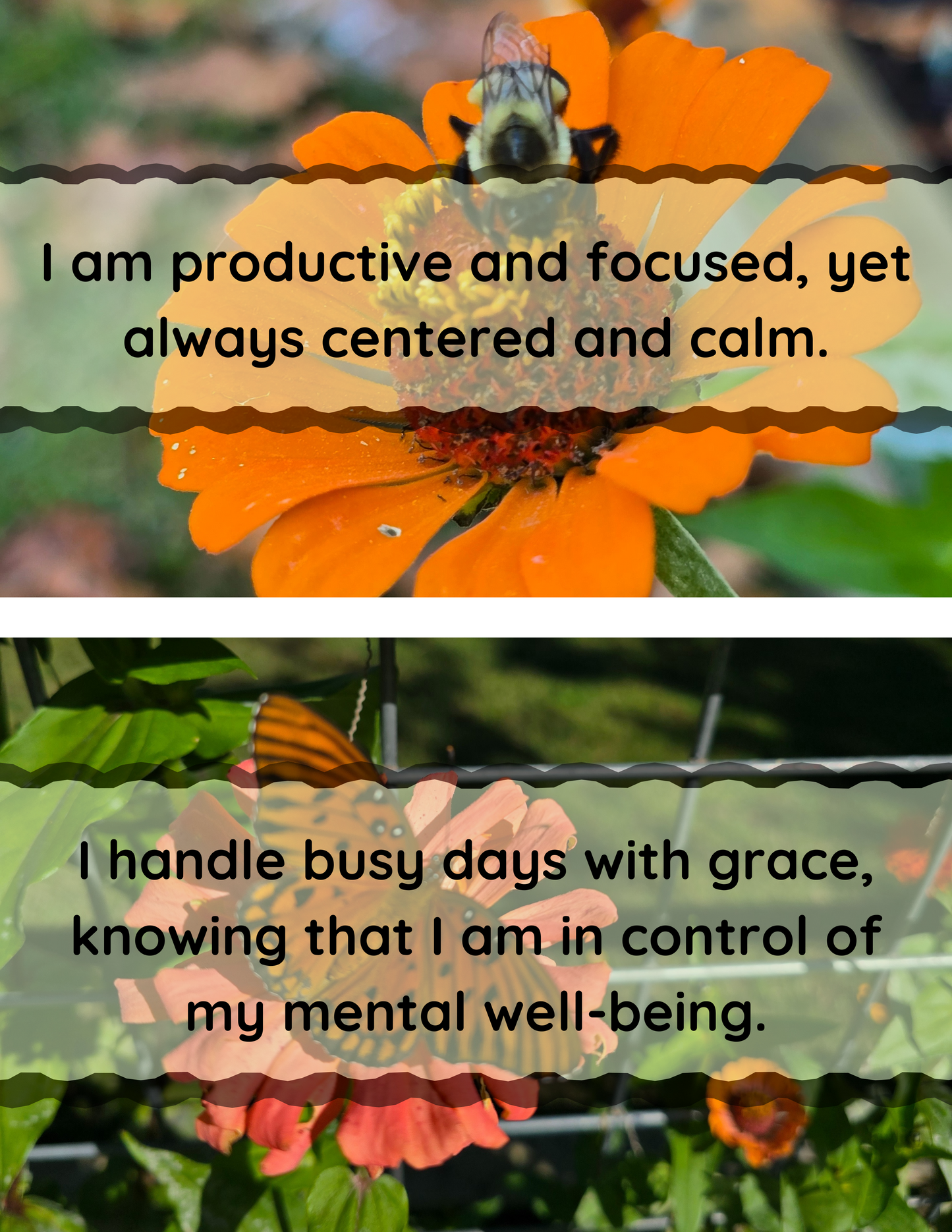 Zinnia Affirmation Flip-Book - Original Photography