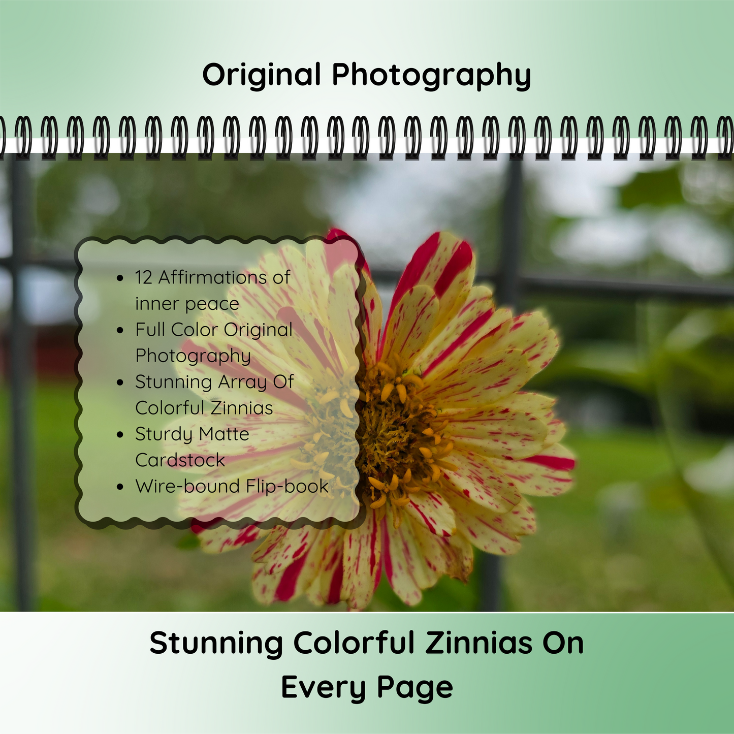 Zinnia Affirmation Flip-Book - Original Photography